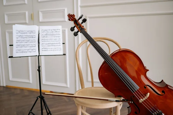Virtual cello — bowed string body close-up