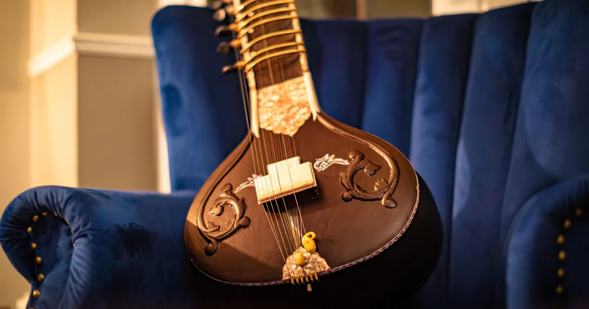 Sitar fretboard