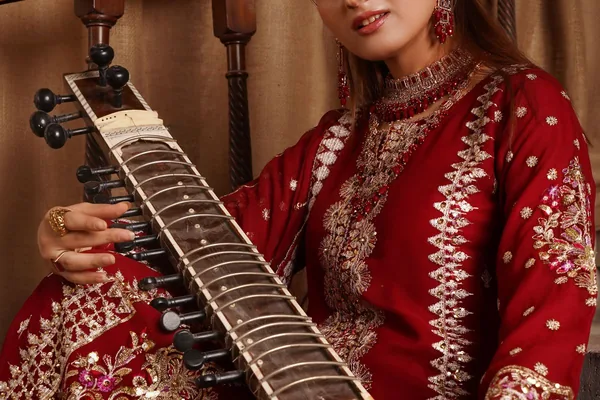 Virtual sitar — Indian classical sitar close-up