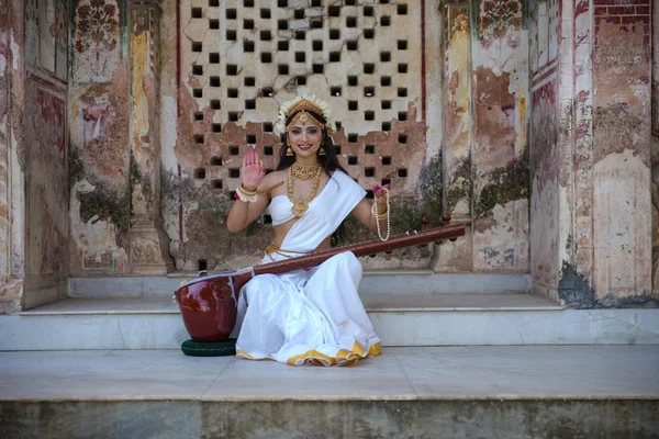 Virtual veena — Indian string instrument close-up