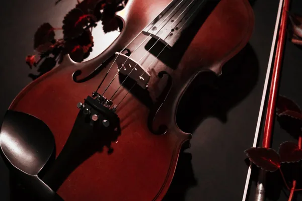 Virtual violin with bow — violin close-up in warm light