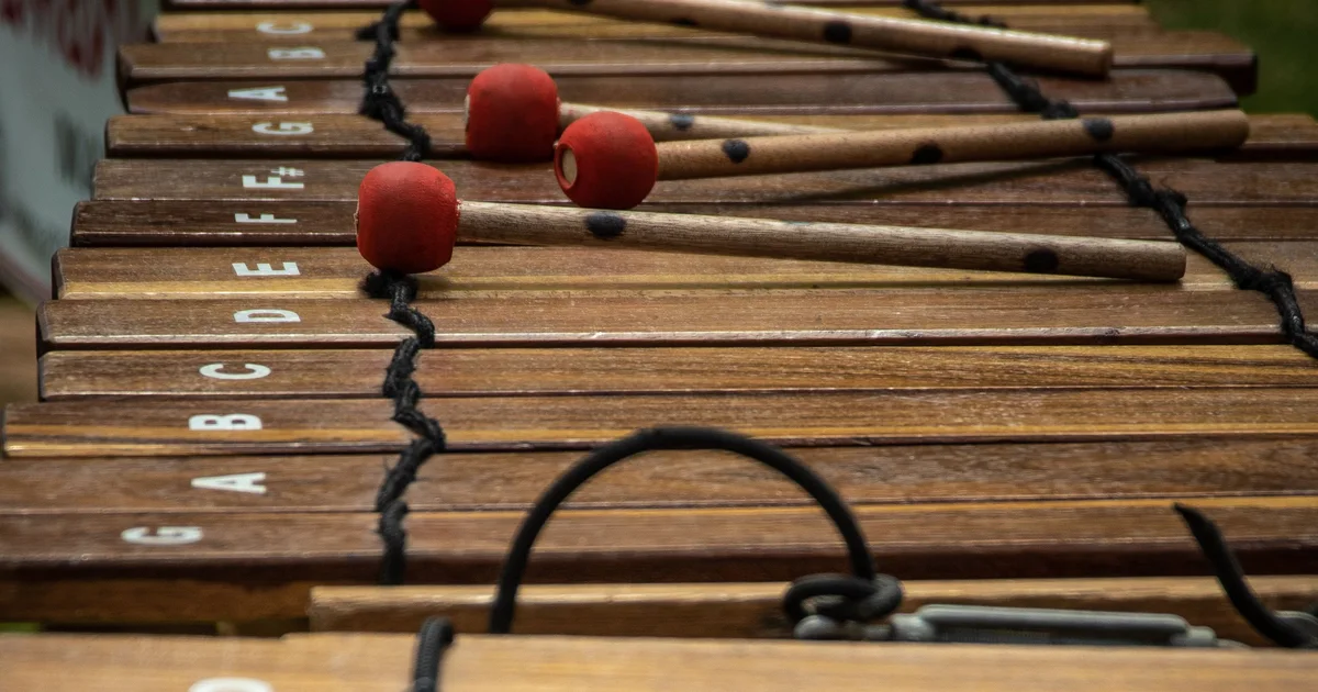 Xylophone bar chart