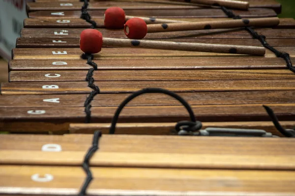 Virtual xylophone — tuned wooden bars close-up
